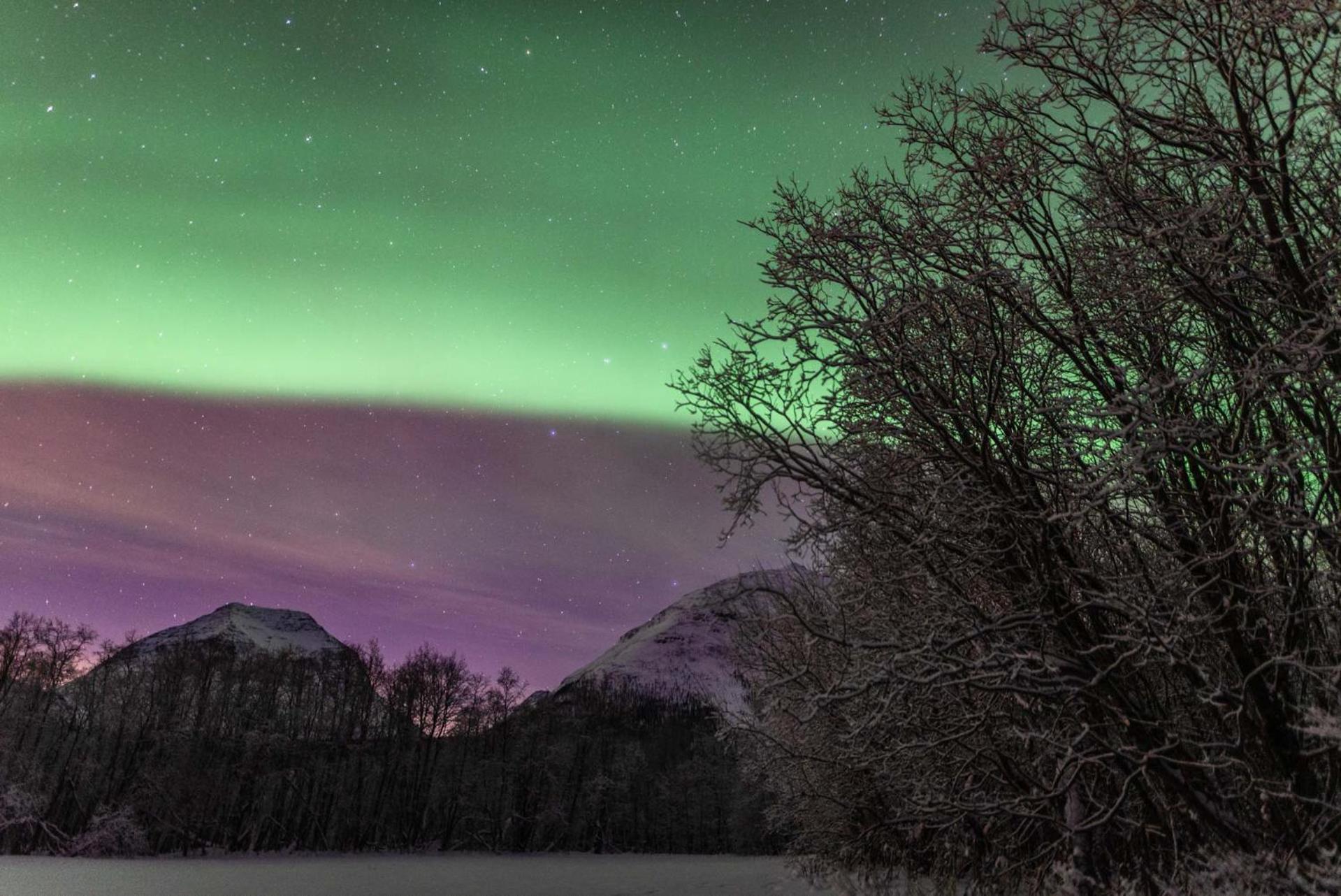 Boukersen Heim Lägenhet Tromsø Exteriör bild